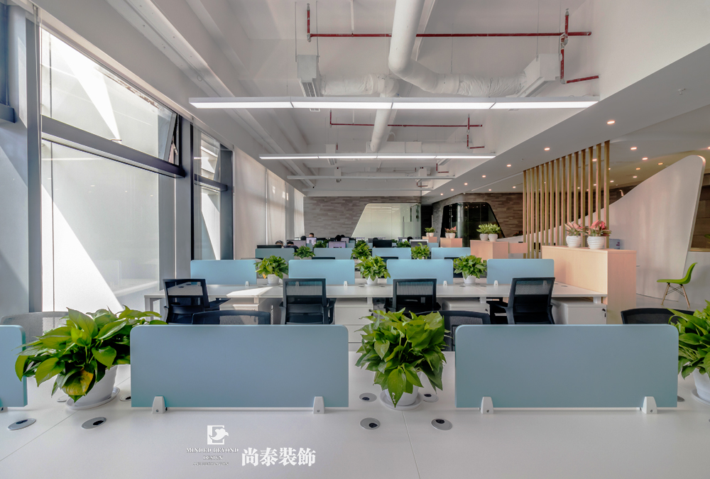 辦公室裝修實景圖