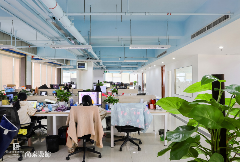 辦公室裝修實(shí)景圖