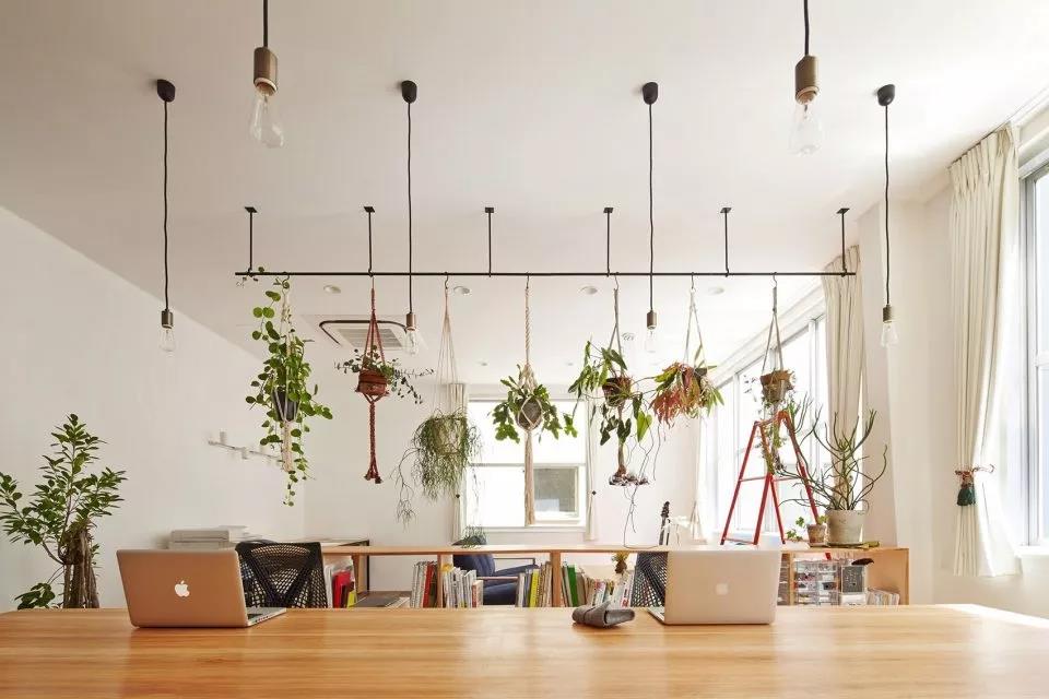 辦公室綠植隔斷實(shí)景圖